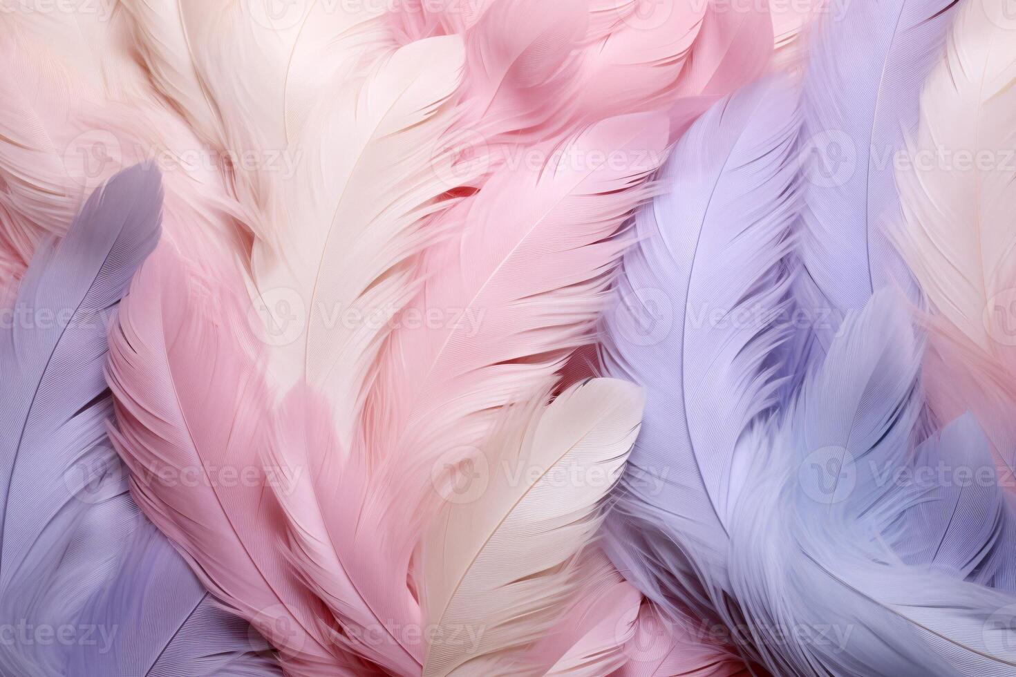 Pastel Feathers Background, pastel color feather abstract background texture, pastel feathers wallpaper, pastel bird feathers pattern, photo