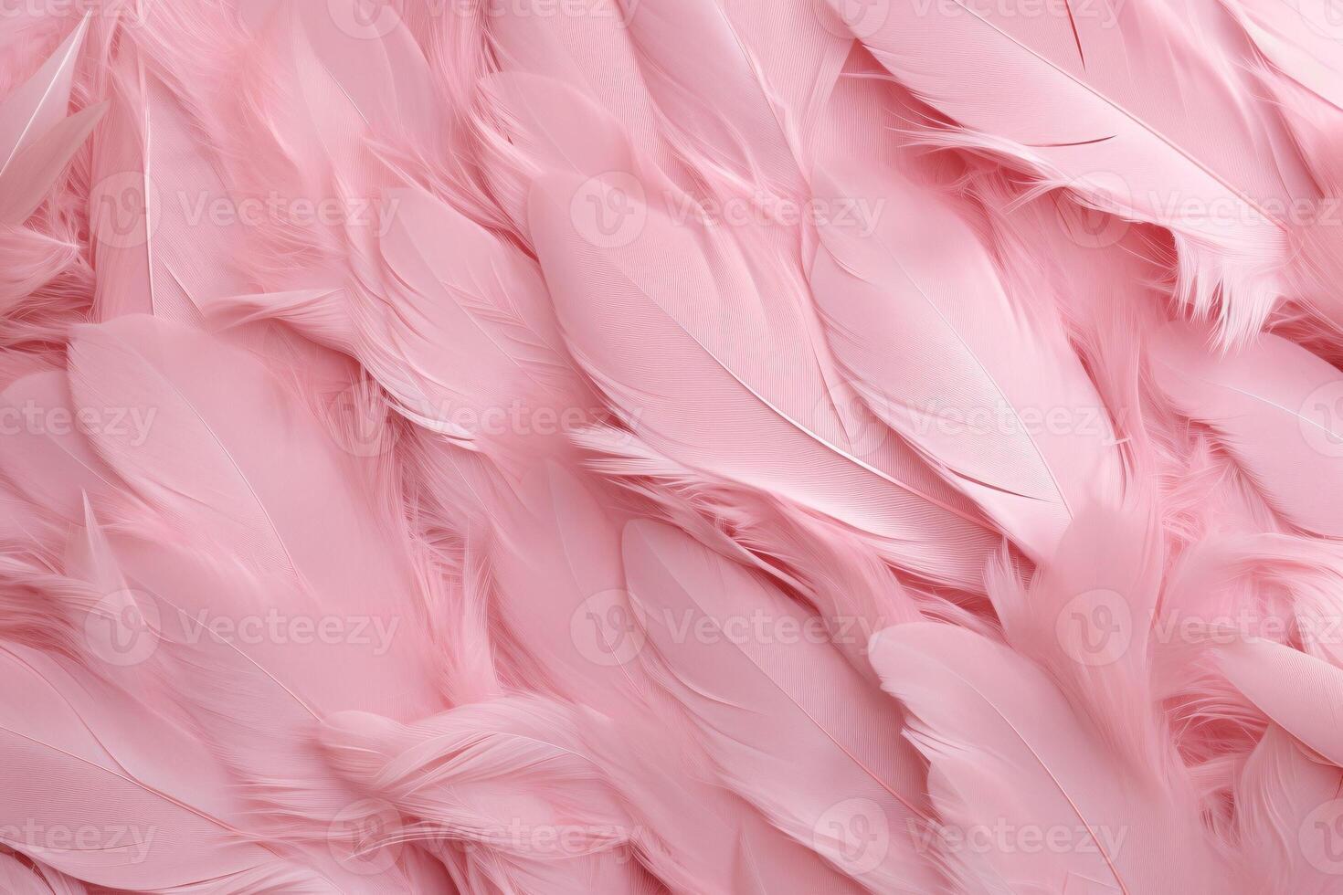 Beautiful feather pattern wallpaper, dreamy feather abstract background, pink feathers wallpaper, light pink bird feathers pattern, photo