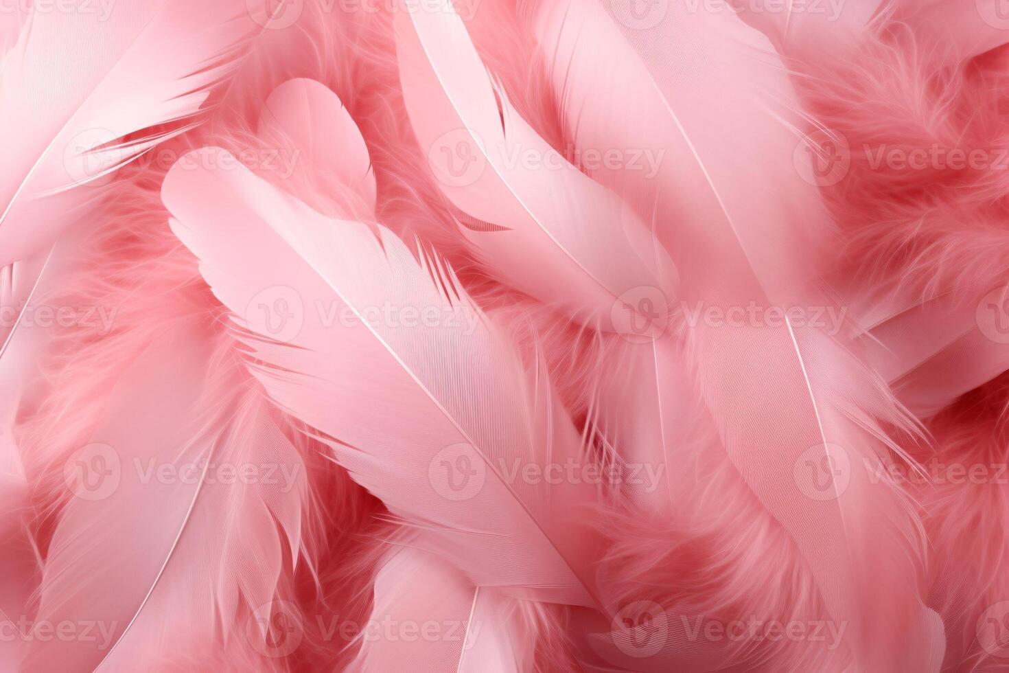 Beautiful feather pattern wallpaper, dreamy feather abstract background, pink feathers wallpaper, light pink bird feathers pattern, photo