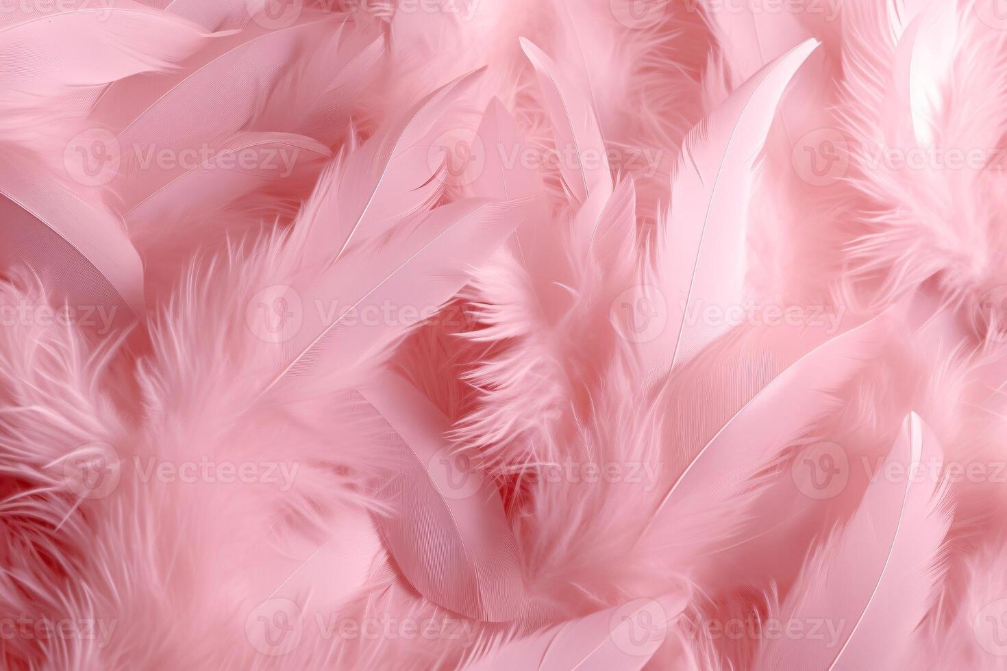 Beautiful feather pattern wallpaper, dreamy feather abstract background, pink feathers wallpaper, light pink bird feathers pattern, photo