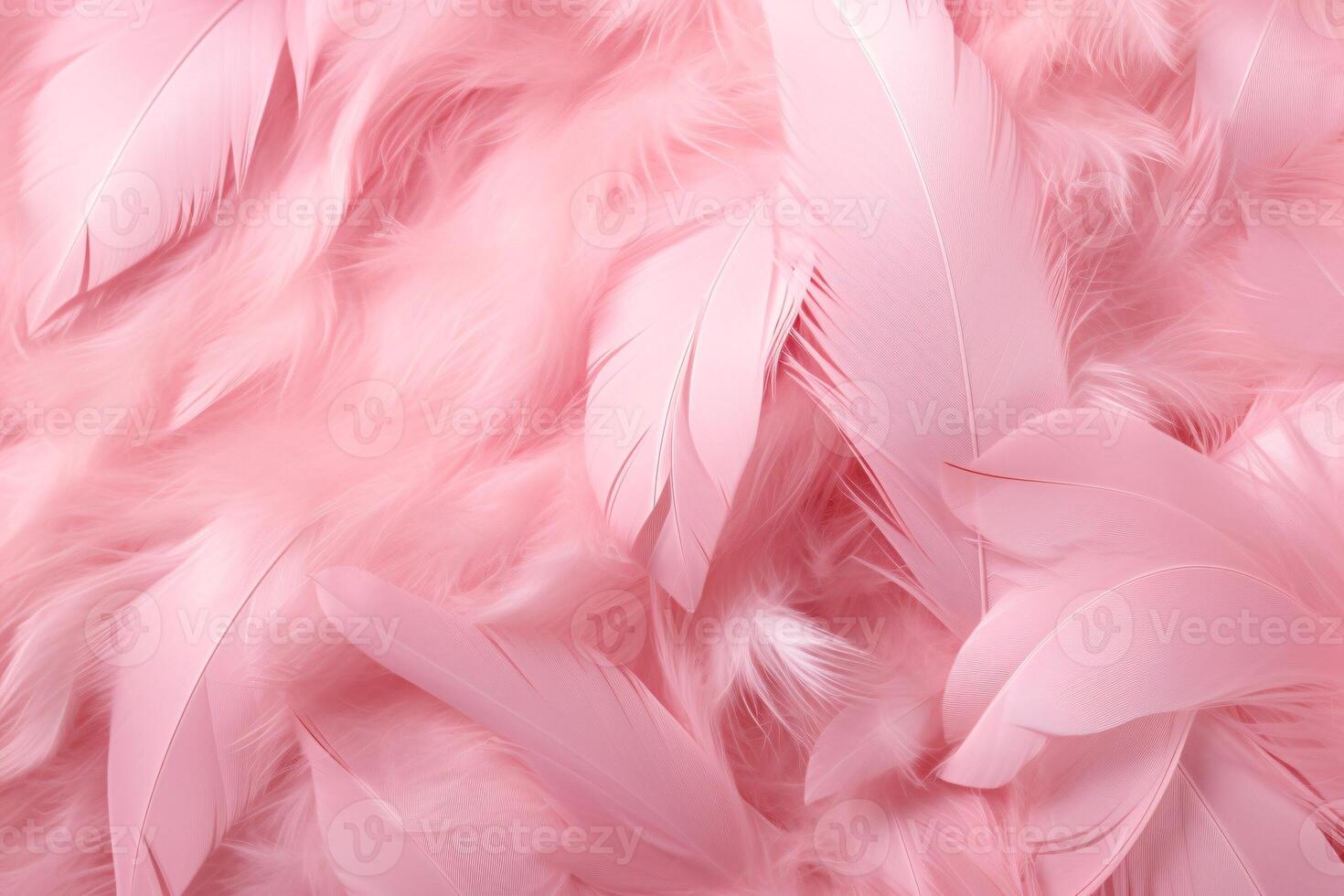 Beautiful feather pattern wallpaper, dreamy feather abstract background, pink feathers wallpaper, light pink bird feathers pattern, photo