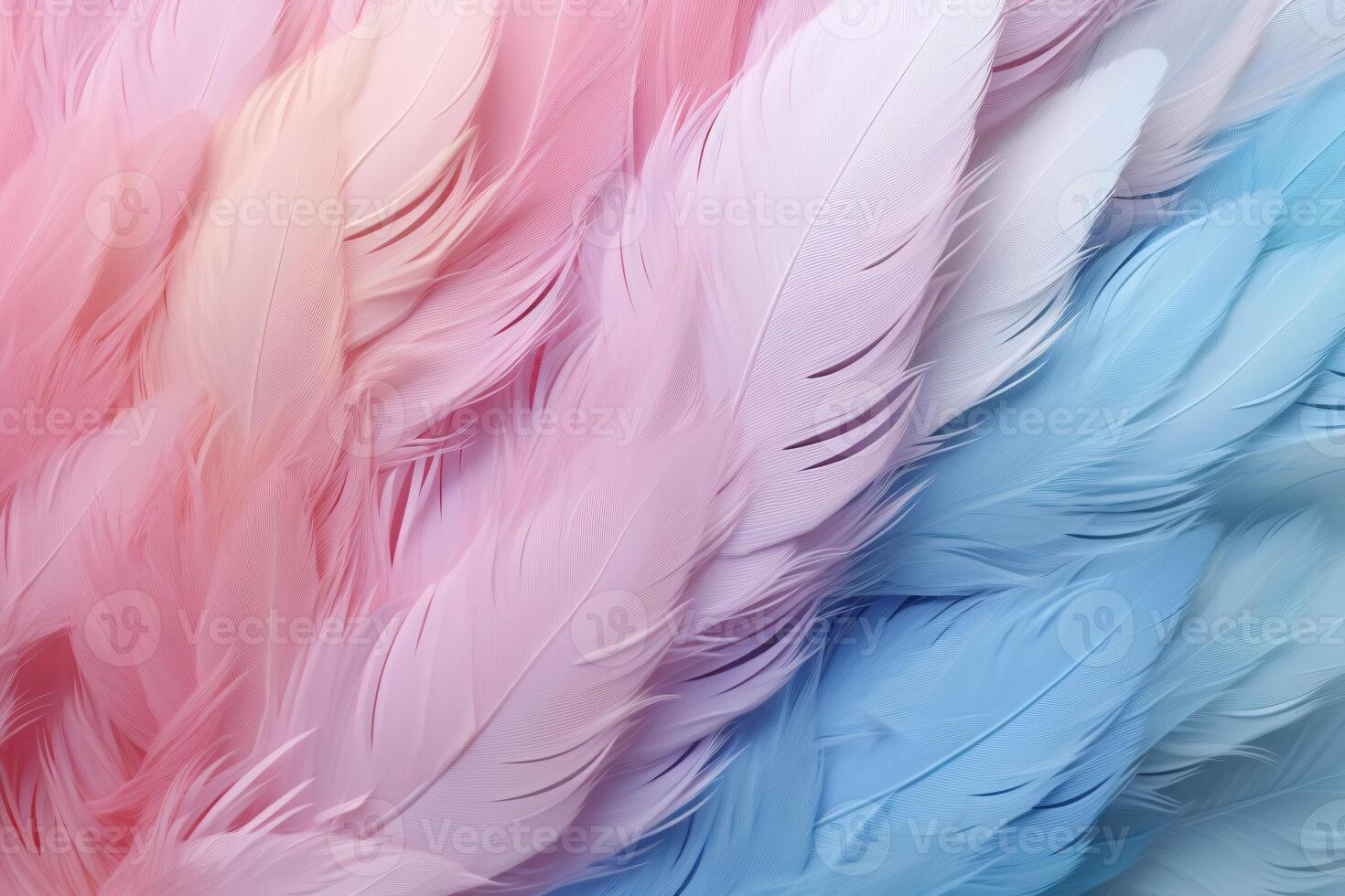 Pastel Feathers Background, pastel color feather abstract background texture, pastel feathers wallpaper, pastel bird feathers pattern, photo