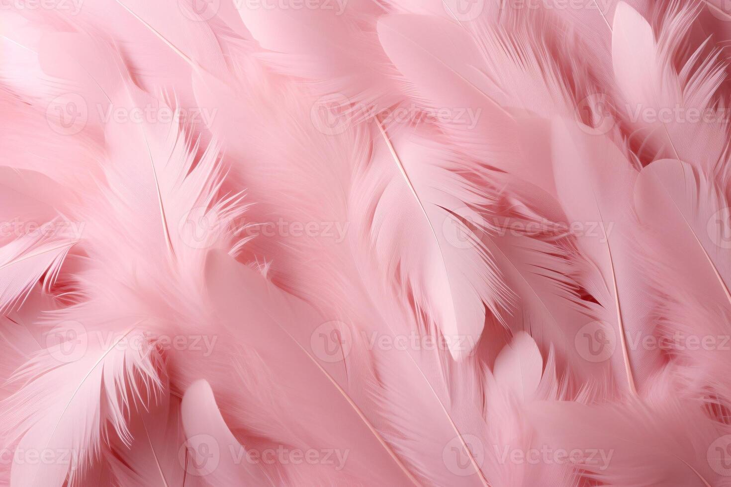 Beautiful feather pattern wallpaper, dreamy feather abstract background, pink feathers wallpaper, light pink bird feathers pattern, photo