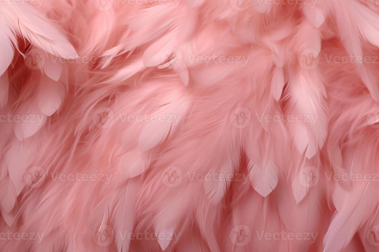 Beautiful feather pattern wallpaper, dreamy feather abstract background, pink feathers wallpaper, light pink bird feathers pattern, photo