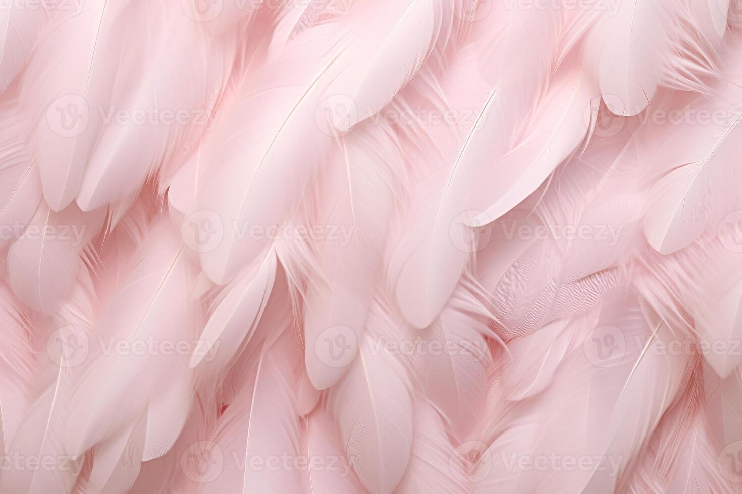 Light Pink Feathers Background, Light Pink feathers pattern, feathers background, feathers wallpaper, bird feathers pattern, photo