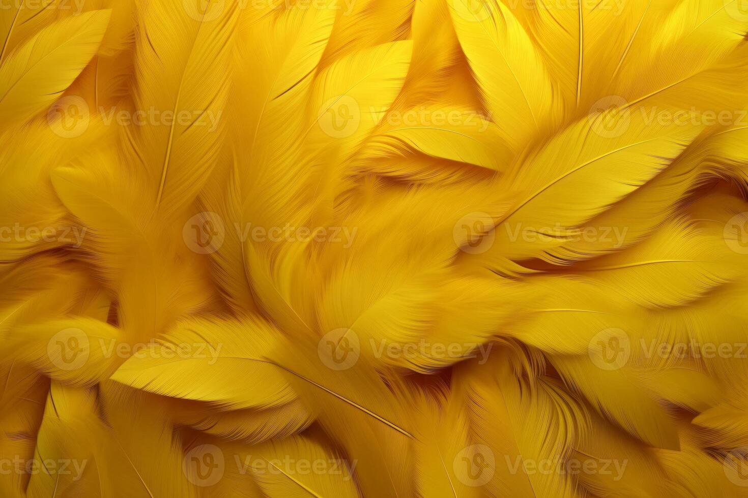 amarillo plumas fondo, amarillo plumas patrón, plumas fondo, plumas fondo de pantalla, pájaro plumas patrón, foto