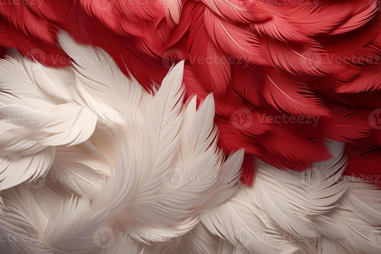 Red Feathers Background, red and white feathers pattern, feathers