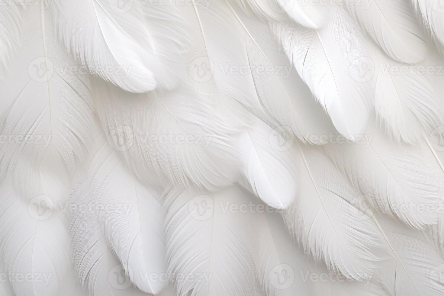 White Soft Feathers Background, White Fluffy feathers pattern, Beautiful feathers background, feathers wallpaper, bird feathers pattern, photo