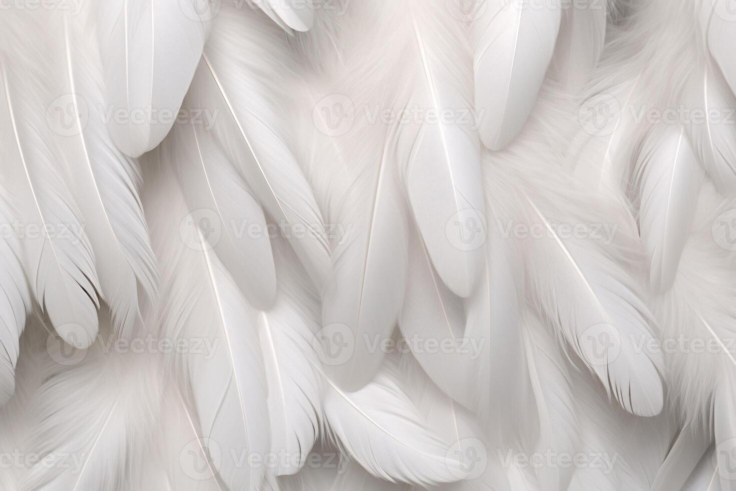 White Soft Feathers Background, White Fluffy feathers pattern, Beautiful feathers background, feathers wallpaper, bird feathers pattern, photo