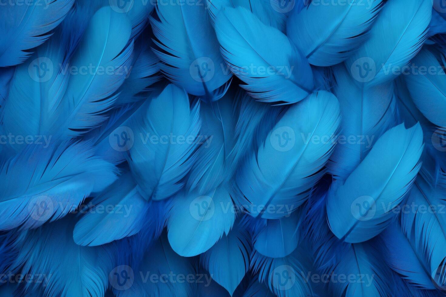 Blue Feathers Background, Blue Feathers Pattern, Feathers background, Feathers Wallpaper, bird feathers pattern, photo