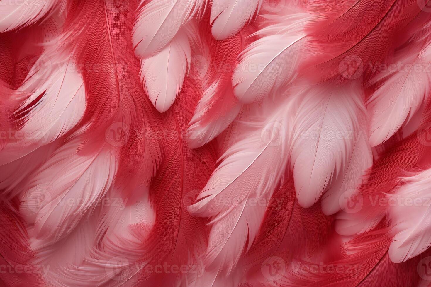 rojo plumas fondo, rojo y blanco plumas patrón, plumas fondo, plumas fondo de pantalla, pájaro plumas patrón, foto