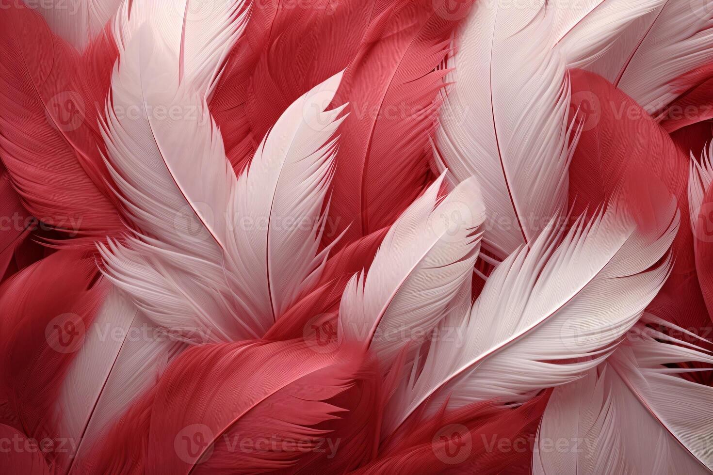 rojo plumas fondo, rojo y blanco plumas patrón, plumas fondo, plumas fondo de pantalla, pájaro plumas patrón, foto