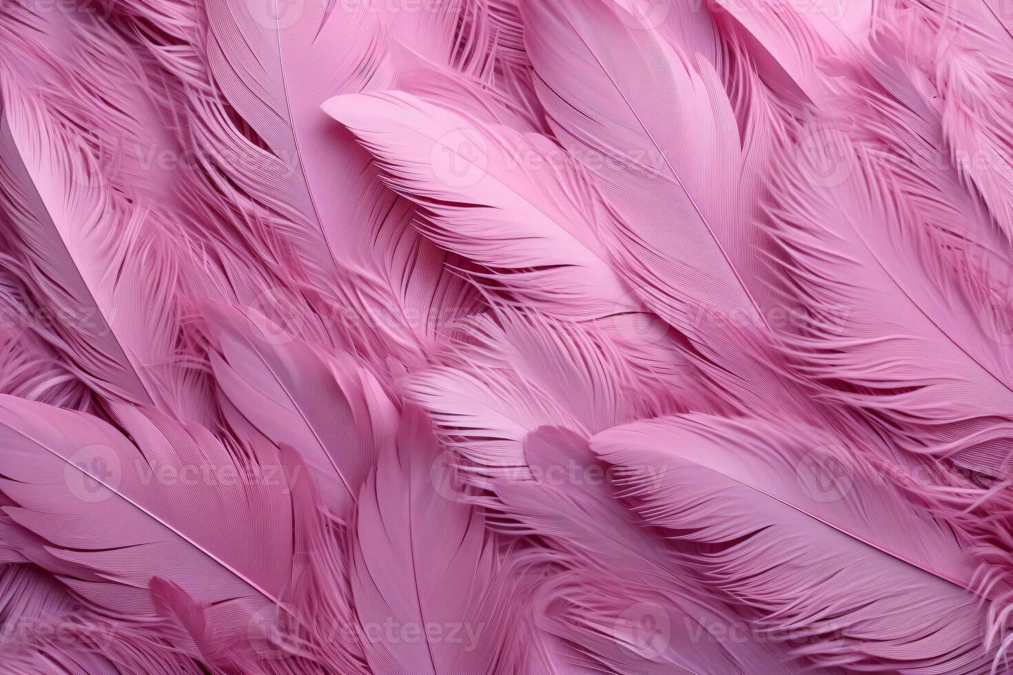 Pink Fluffy Feathers Background, Pink Feathers Pattern, Beautiful Feathers background, Feathers Wallpaper, bird feathers pattern, photo