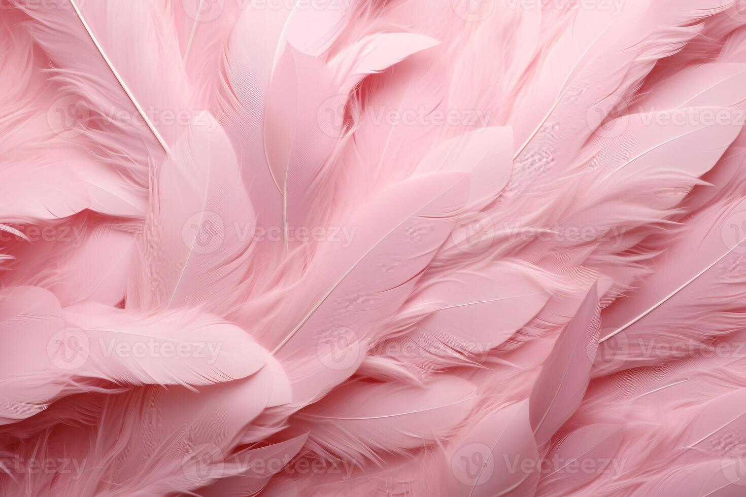 Light Pink Feathers Background, Light Pink feathers pattern, feathers background, feathers wallpaper, bird feathers pattern, photo