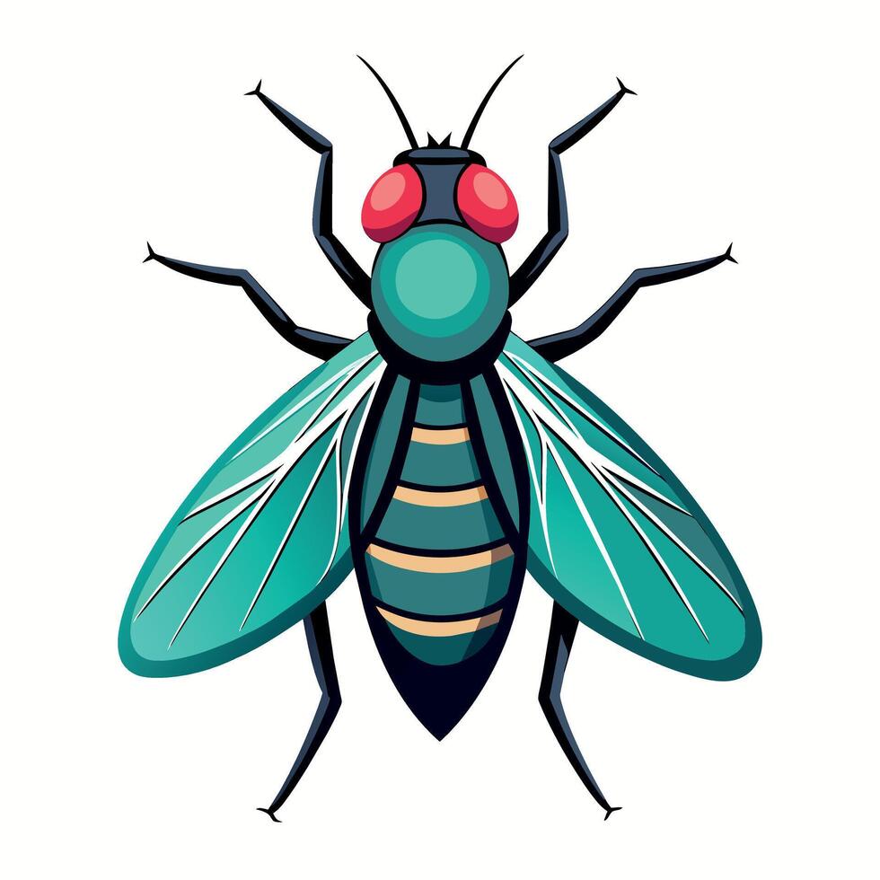 Fly Illustration art, a simple fly illustration vector