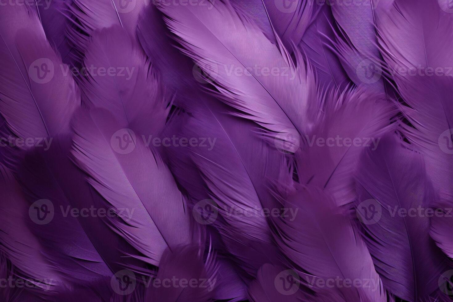 Purple Feathers Background, Purple Feathers Pattern, Feathers background, Feathers Wallpaper, bird feathers pattern, photo