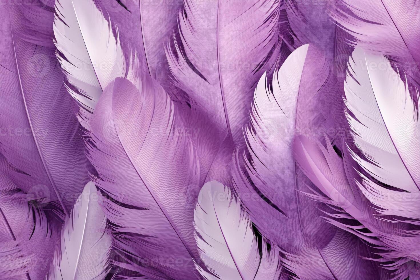 Purple Feathers Background, Purple Feathers Pattern, Feathers background, Feathers Wallpaper, bird feathers pattern, photo