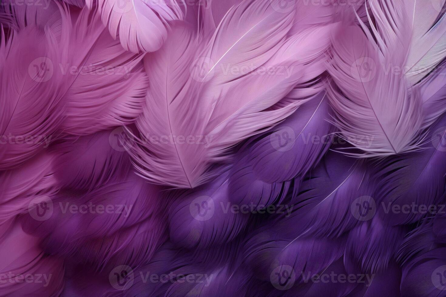 Purple Feathers Background, Purple Feathers Pattern, Feathers background, Feathers Wallpaper, bird feathers pattern, photo