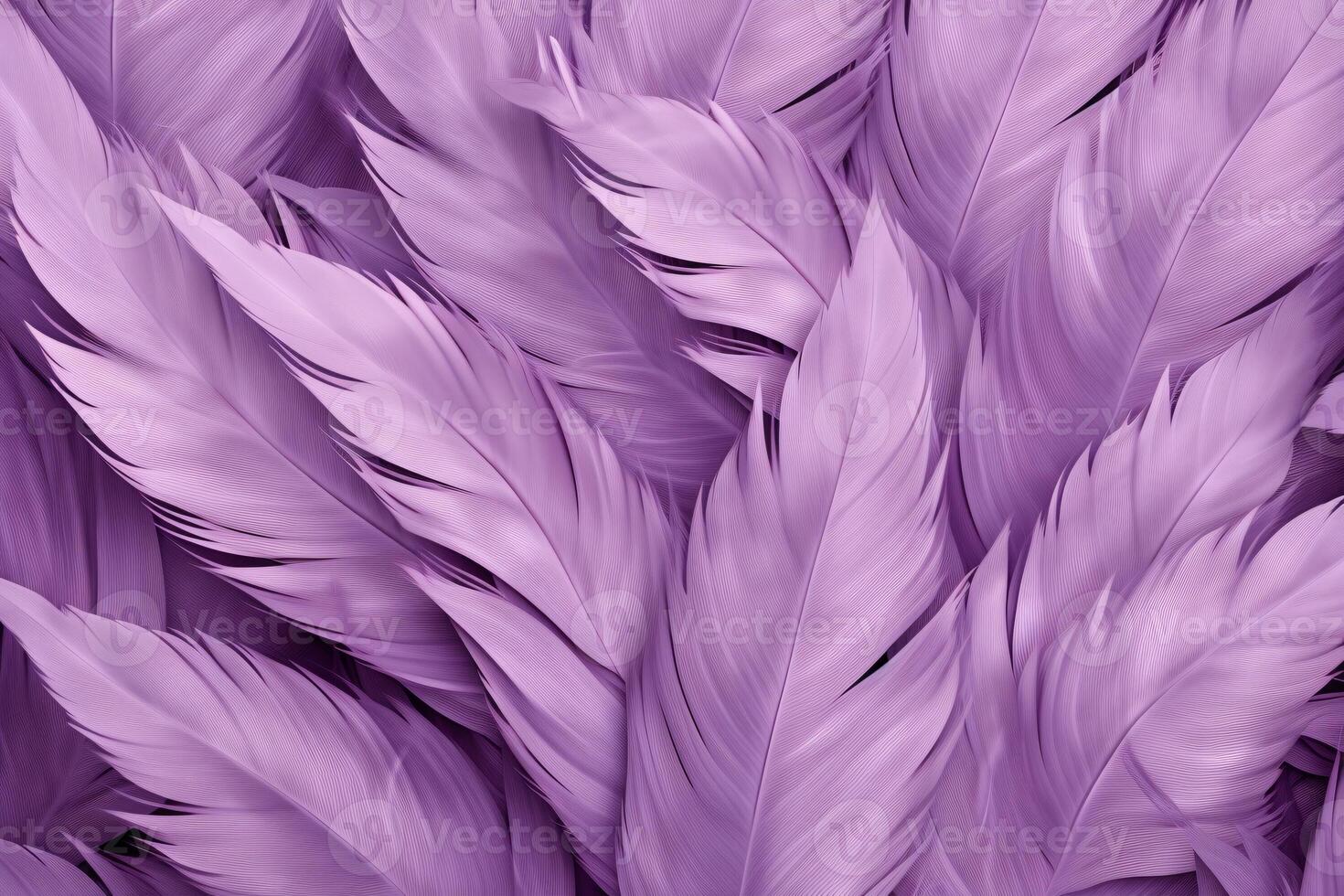 Purple Feathers Background, Purple Feathers Pattern, Feathers background, Feathers Wallpaper, bird feathers pattern, photo