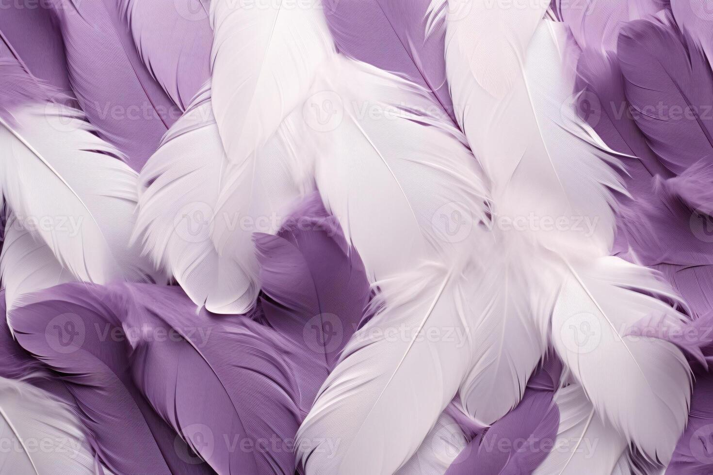 Purple Feathers Background, Purple Feathers Pattern, Feathers background, Feathers Wallpaper, bird feathers pattern, photo