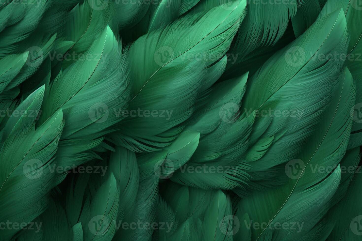 Green Feathers Background, Green Feathers Pattern, Feathers background, Feathers Wallpaper, bird feathers pattern, photo