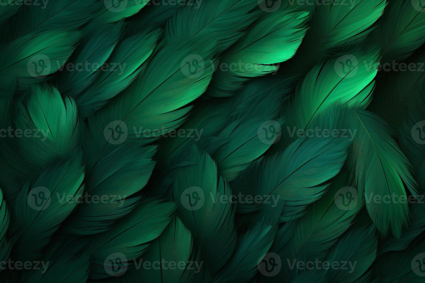 Green Feathers Background, Green Feathers Pattern, Feathers background, Feathers Wallpaper, bird feathers pattern, photo