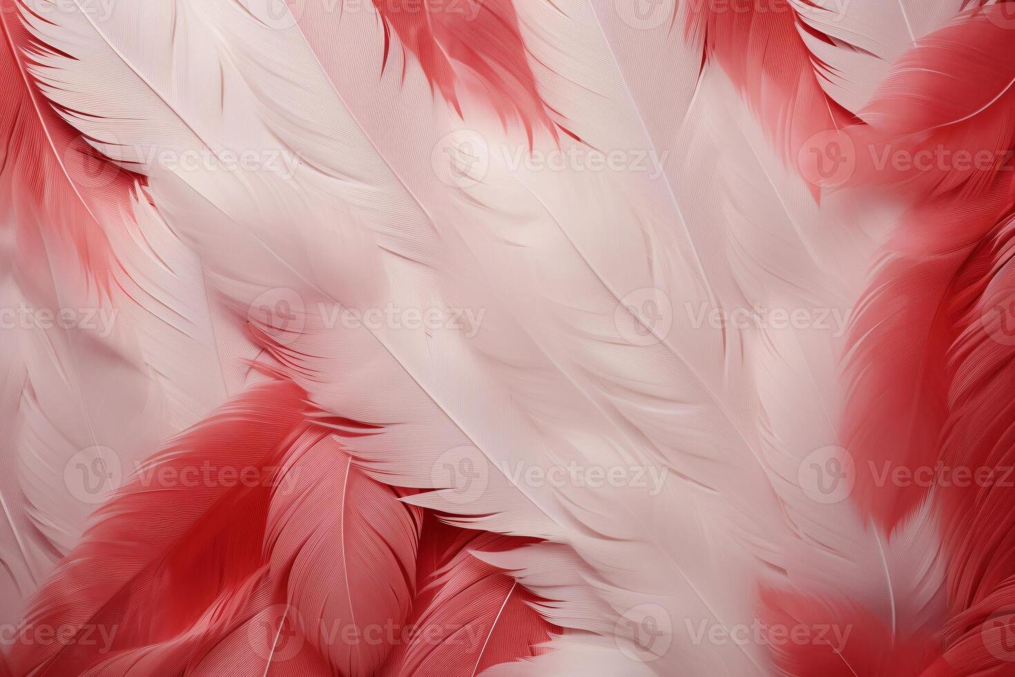 rojo plumas fondo, rojo y blanco plumas patrón, plumas fondo, plumas fondo de pantalla, pájaro plumas patrón, foto