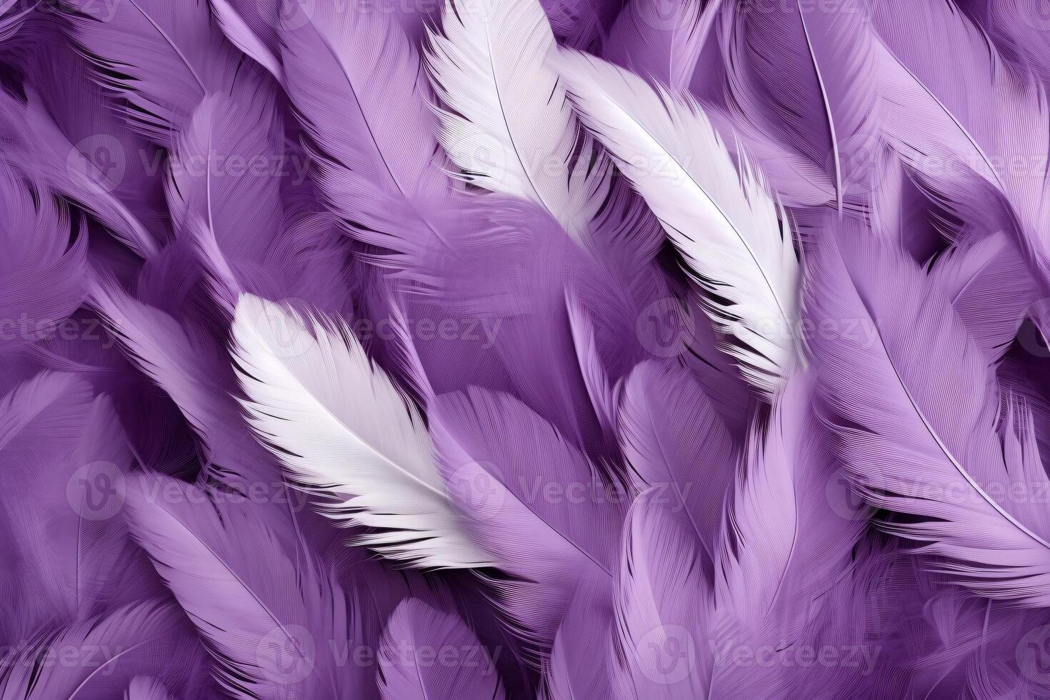 Purple Feathers Background, Purple Feathers Pattern, Feathers background, Feathers Wallpaper, bird feathers pattern, photo