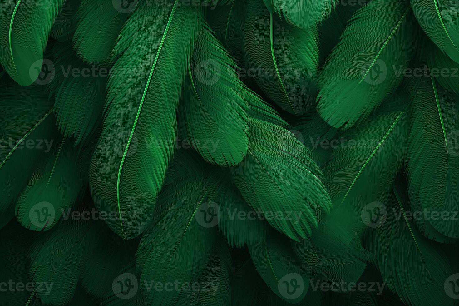 Green Feathers Background, Green Feathers Pattern, Feathers background, Feathers Wallpaper, bird feathers pattern, photo