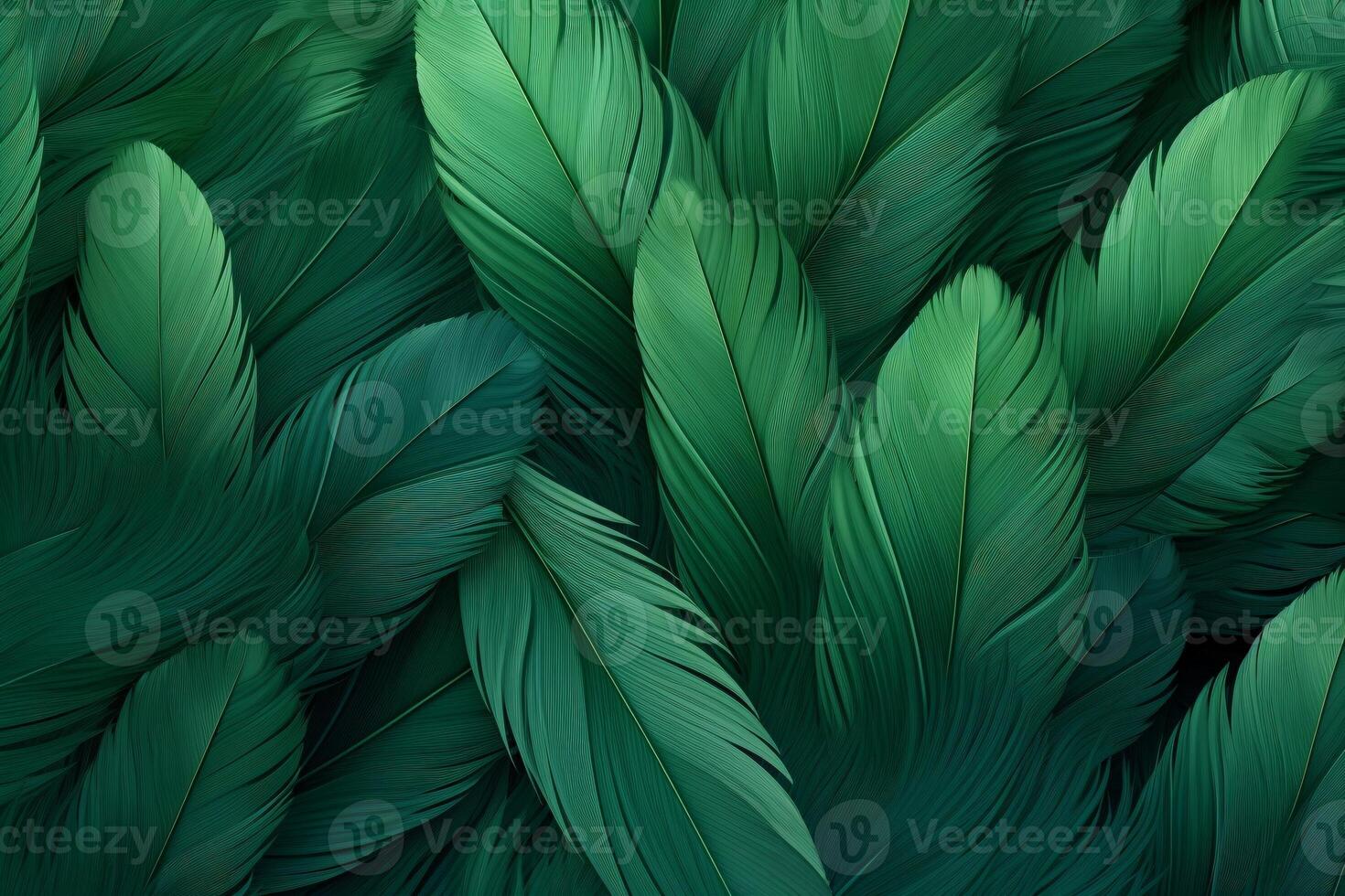 Green Feathers Background, Green Feathers Pattern, Feathers background, Feathers Wallpaper, bird feathers pattern, photo