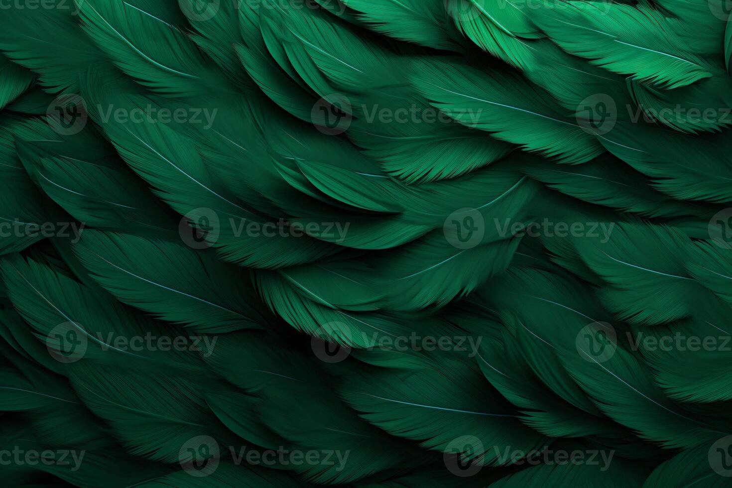 Green Feathers Background, Green Feathers Pattern, Feathers background, Feathers Wallpaper, bird feathers pattern, photo