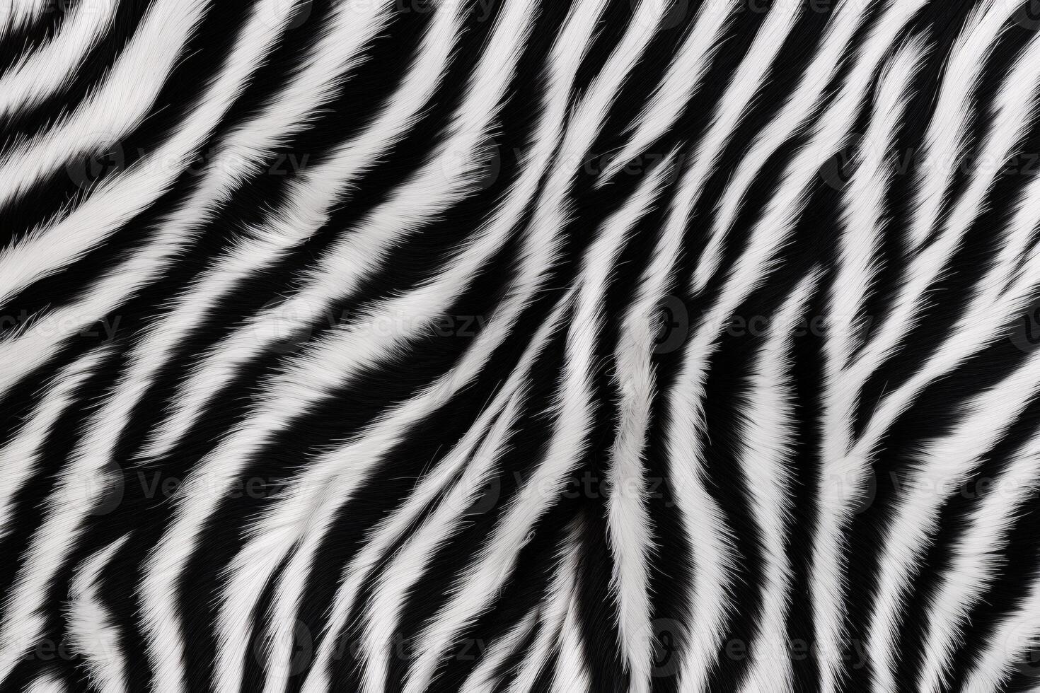 Zebra Skin Fur Texture, Zebra Fur Background, Fluffy Zebra Skin Fur Texture, Zebra Skin Fur Pattern, Animal Skin Fur Texture, Zebra Print, photo