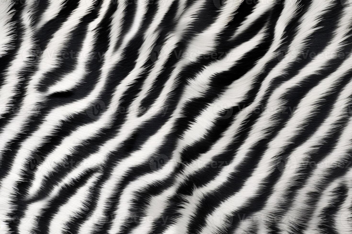 Zebra Skin Fur Texture, Zebra Fur Background, Fluffy Zebra Skin Fur Texture, Zebra Skin Fur Pattern, Animal Skin Fur Texture, Zebra Print, photo