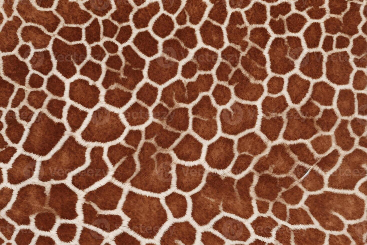 Giraffe Skin Fur Texture, Giraffe Fur Background, Fluffy Giraffe Skin Fur Texture, Giraffe Skin Fur Pattern, Animal Skin Fur Texture, Giraffe Print, photo