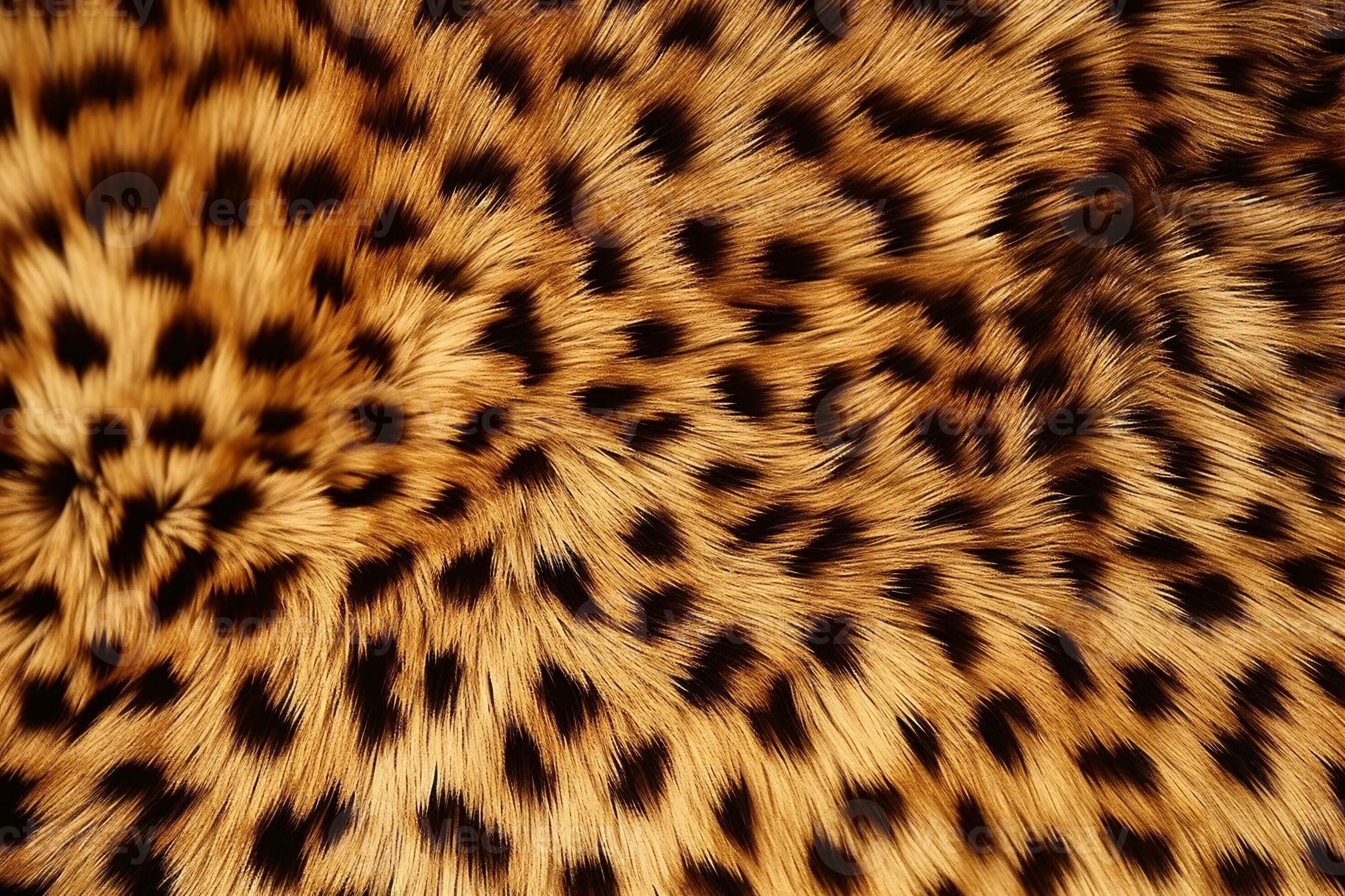 Finally Revealed: The True Color Of Cheetah Testicles - 1i3f4nf