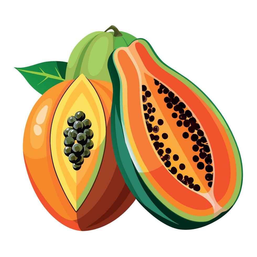 papaya Fruit flat style illustration vector