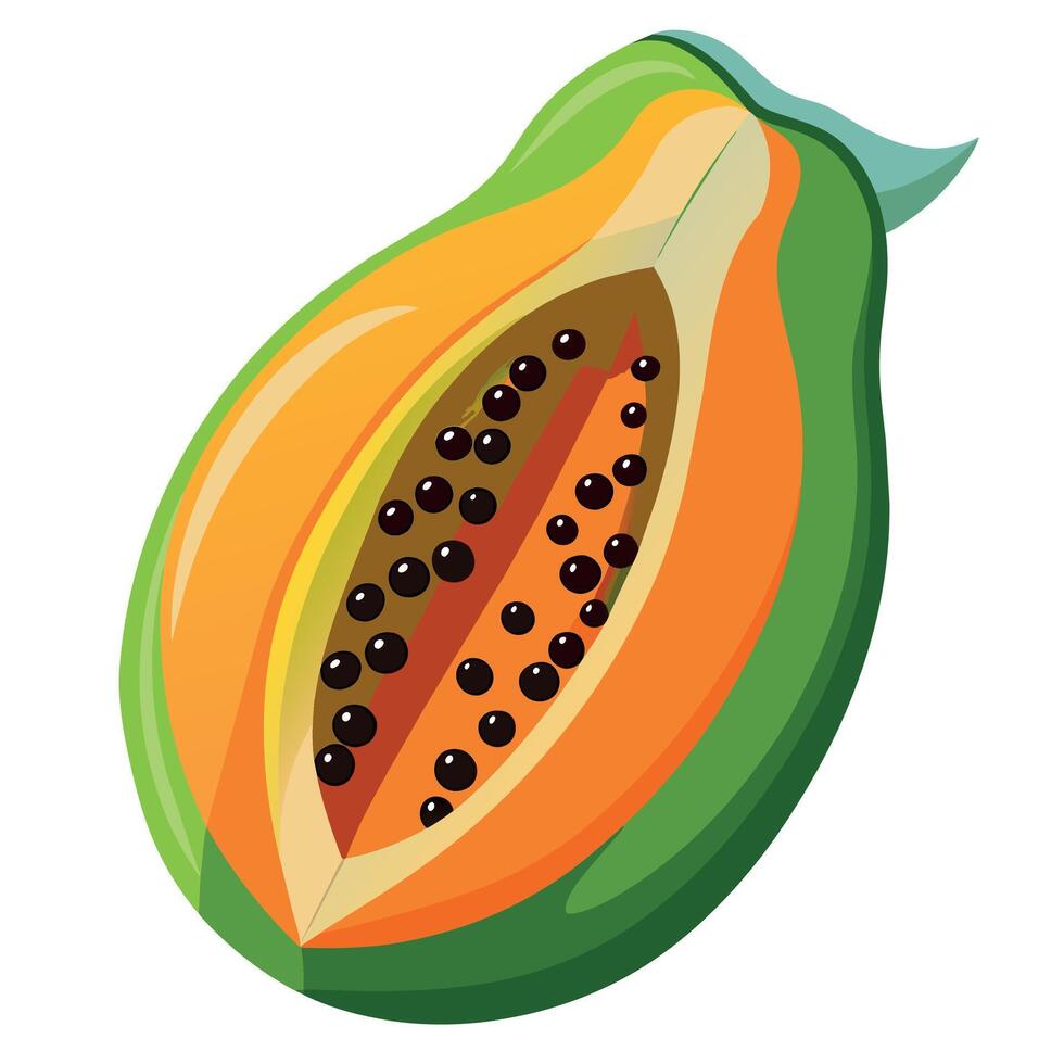 papaya Fruit flat style illustration vector