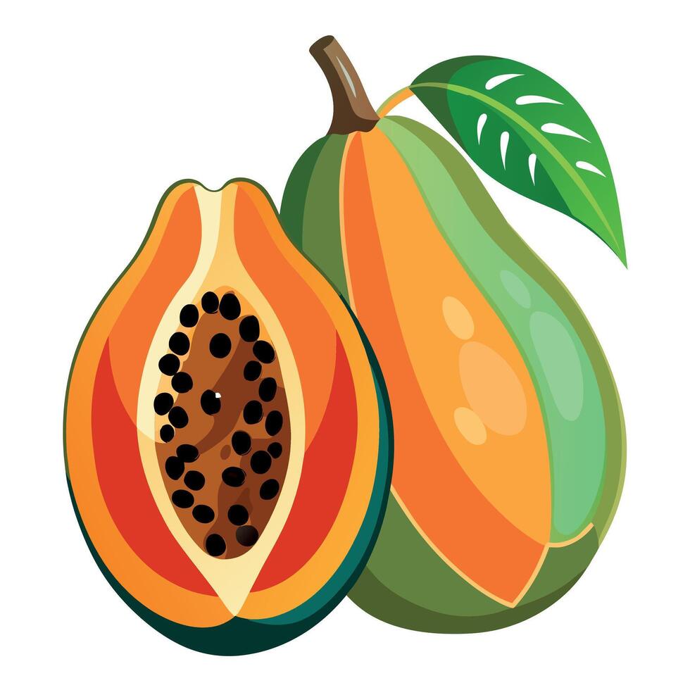 papaya Fruit flat style illustration vector