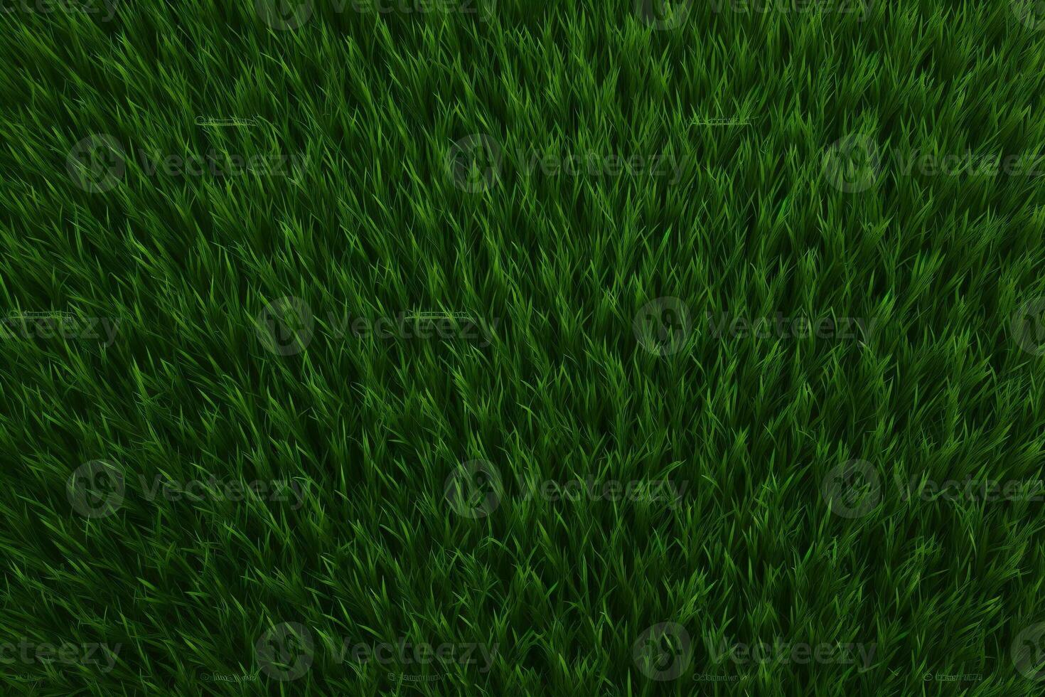 Green Grass Texture, Grass Background, Grass Texture Wallpaper, Top View Green Grass Texture, photo