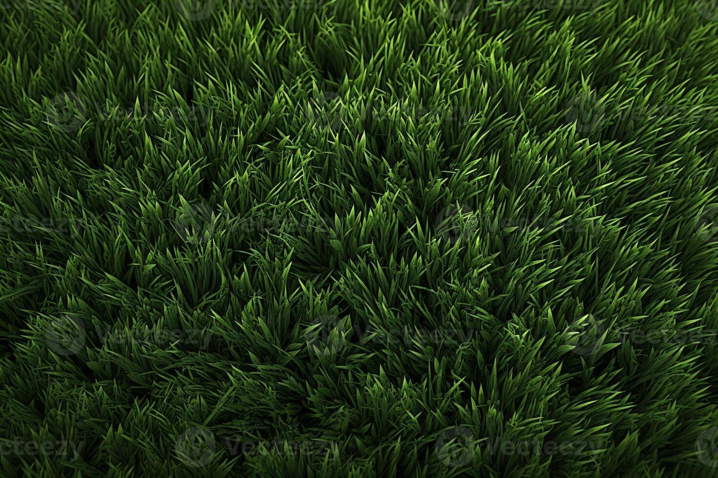 Green Grass Texture, Grass Background, Grass Texture Wallpaper, Top View Green Grass Texture, photo