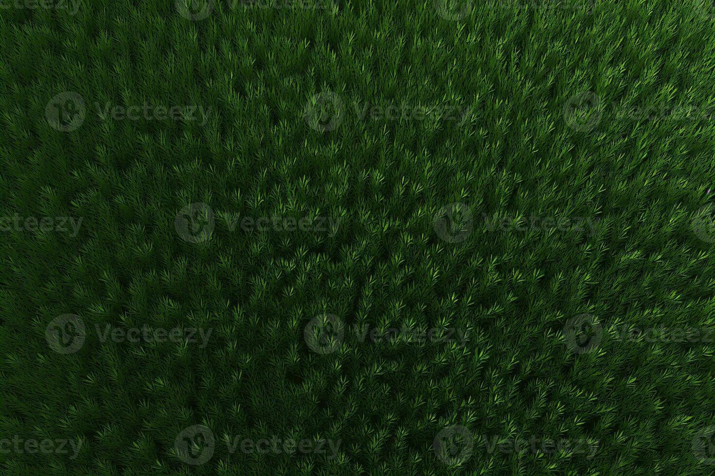 Green Grass Texture, Grass Background, Grass Texture Wallpaper, Top View Green Grass Texture, photo