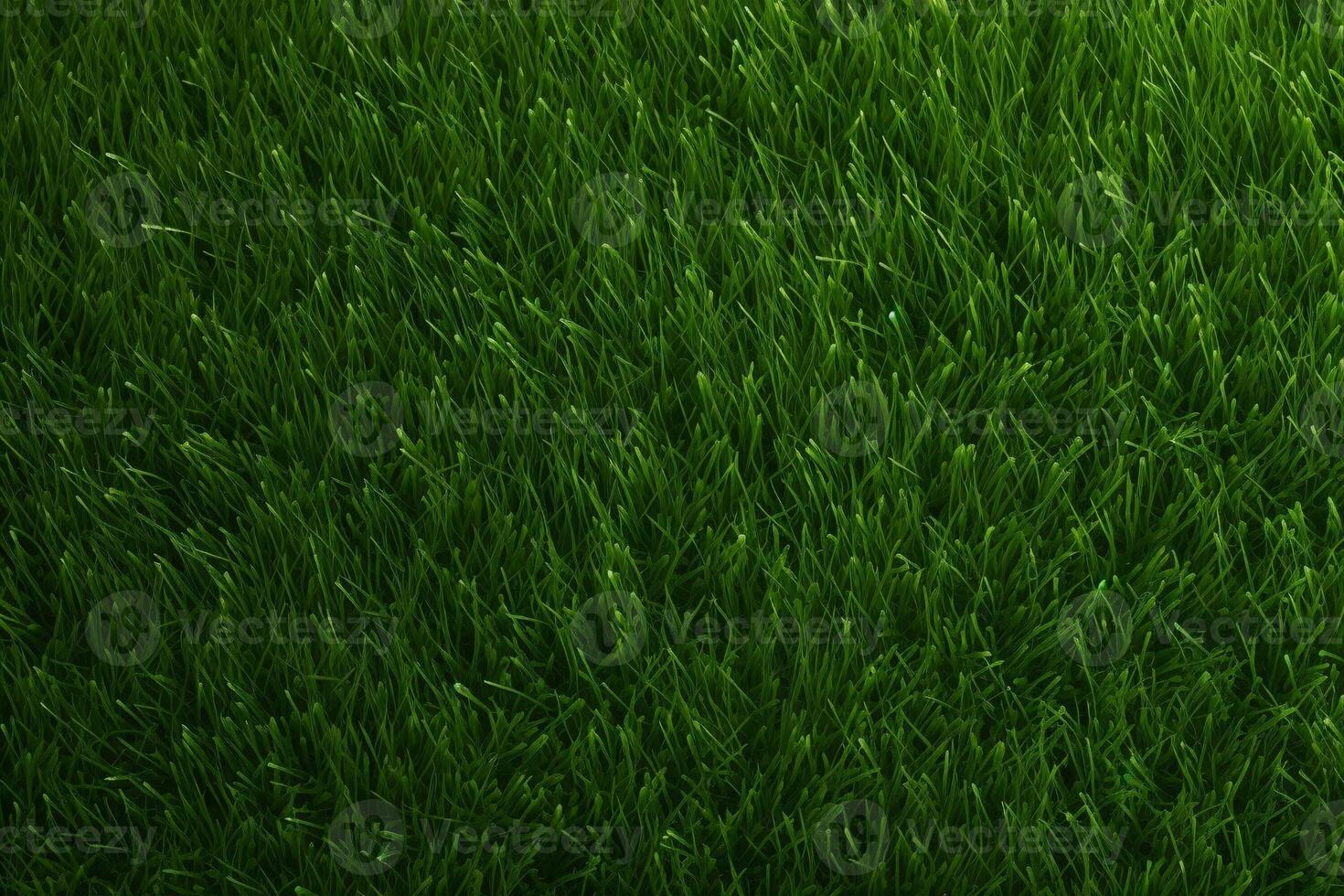 Green Grass Texture, Grass Background, Grass Texture Wallpaper, Top View Green Grass Texture, photo