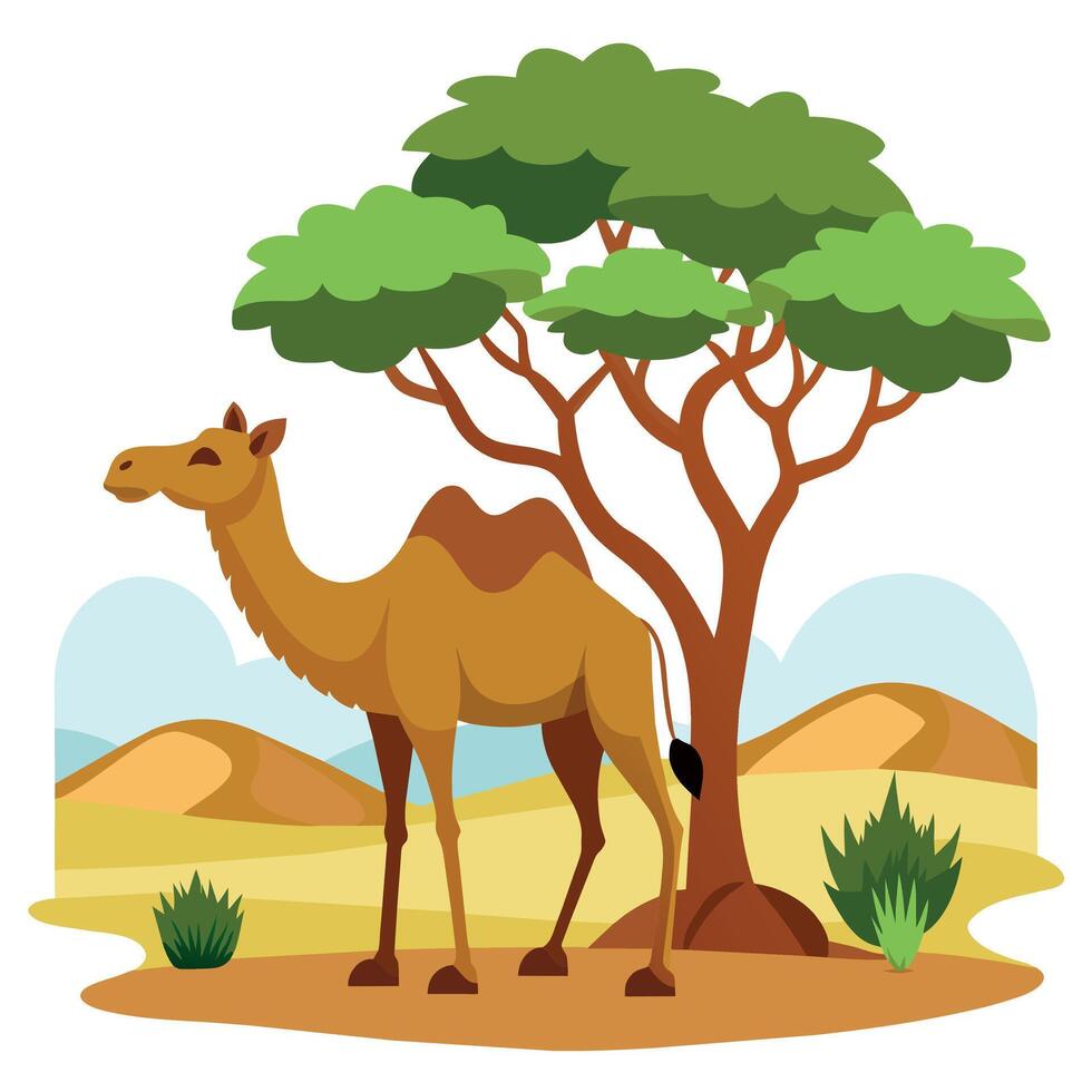 Camel On desert flat style 2d illustration vector
