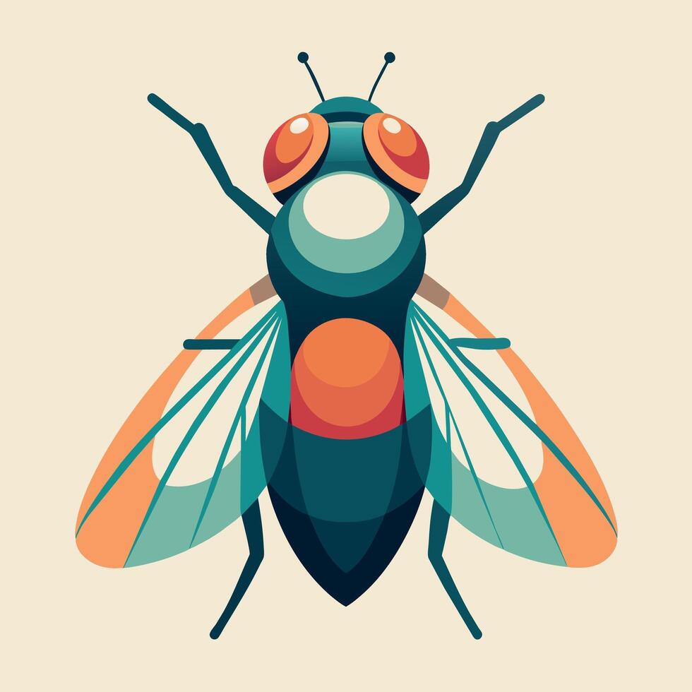 Fly Illustration art, a simple fly illustration vector