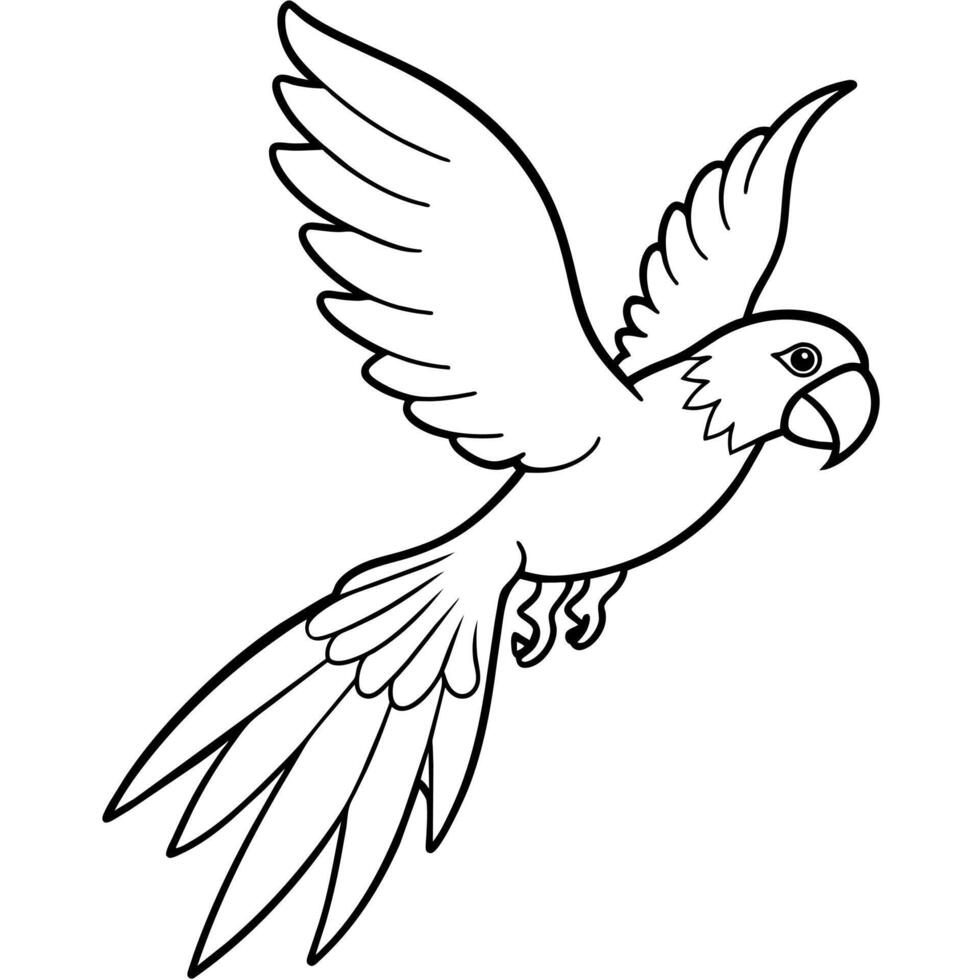 Bird Coloring book page hand draw illustration vector