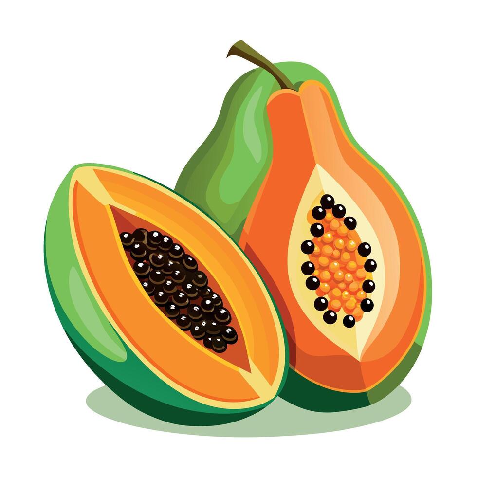 papaya Fruit flat style illustration vector
