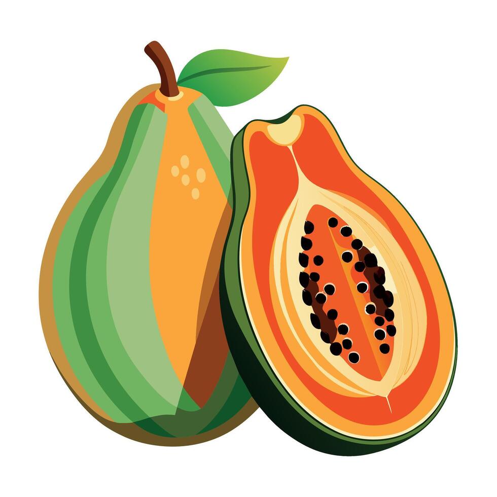 papaya Fruit flat style illustration vector
