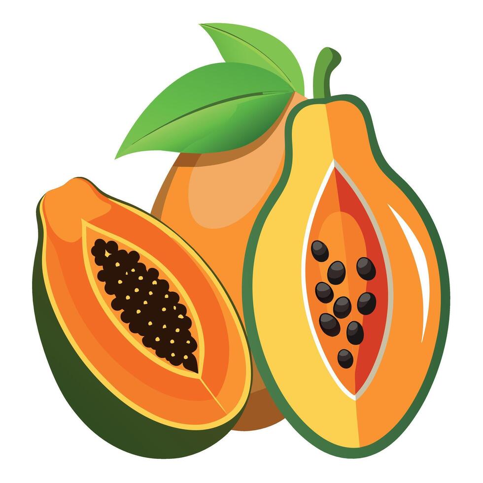 papaya Fruit flat style illustration vector