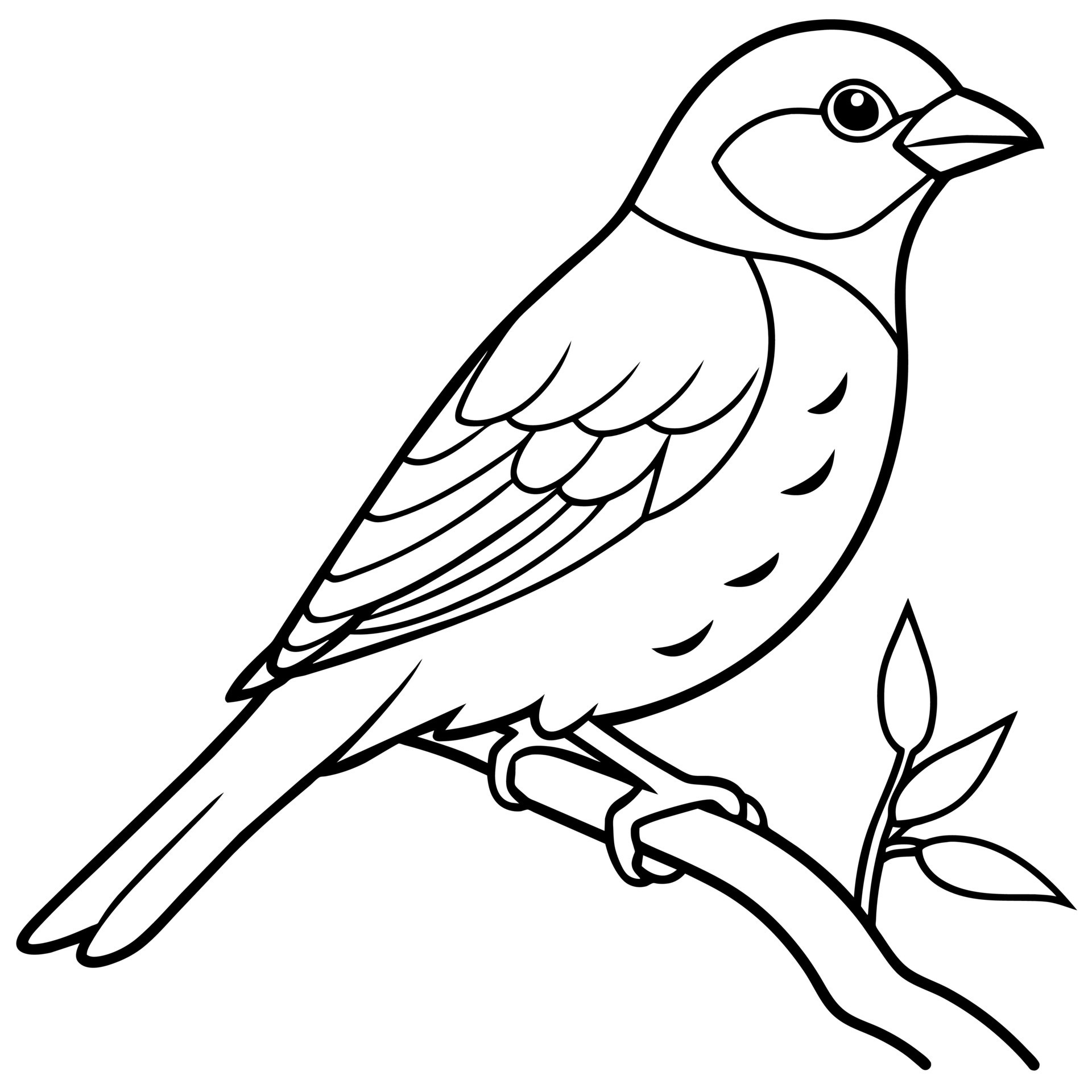 Hand Drawn Bird Coloring Book Page Illustration