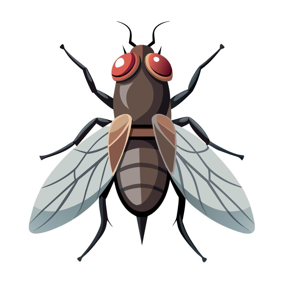 mosca ilustración arte, un sencillo mosca ilustración vector